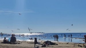 Как мы на пляже отдыхали / Жара в Питере / Сестрорецк / Пляж Дубковский