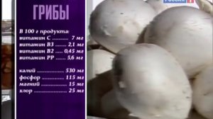 Грибы польза и вред. Как правильно собирать и готовить грибы