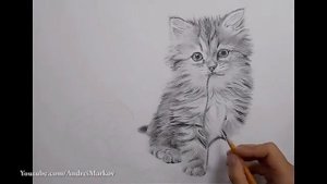 Как рисовать кошку карандашом