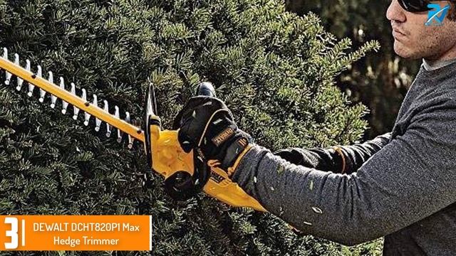The Best Electric Hedge Trimmers for 2024 смотреть онлайн