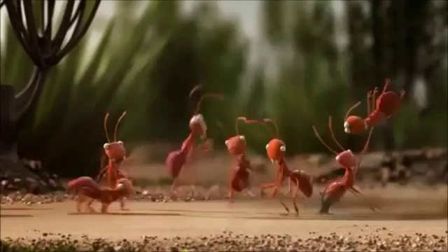 Поучительный мультфильм