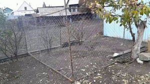 Сделали еще один выгул для курочек..avi