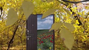 Футаж двери на зеленом и синем фоне. Футаж через глазок дверной в 2,7к 30fps.