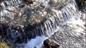 ТЕСТ накамерных микрофонов Shenggu SG-108 и TAKSTAR SGC 598