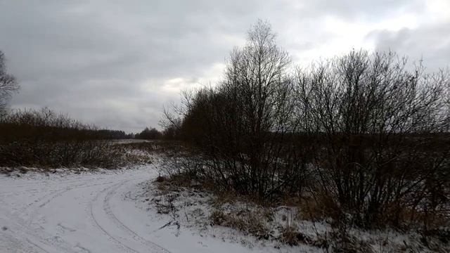 Заяц кукурузник Охота с Добычем смотреть онлайн