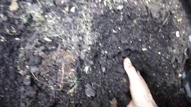 Bokashi nach 5 Tagen im Komposter смотреть онлайн