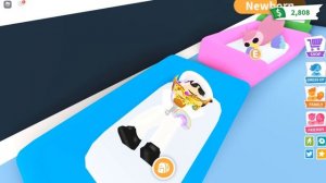 БОГАЧ В АДОПТ МИ!! баг на деньги в адопт ми! Как заработать адопт ми МНОГО ДЕНЕГ