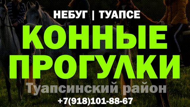 Конные прогулки в Небуге (Туапсе) 2023