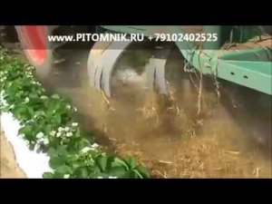 Разбрасыватель соломы для клубники, солома для питомников с клубников