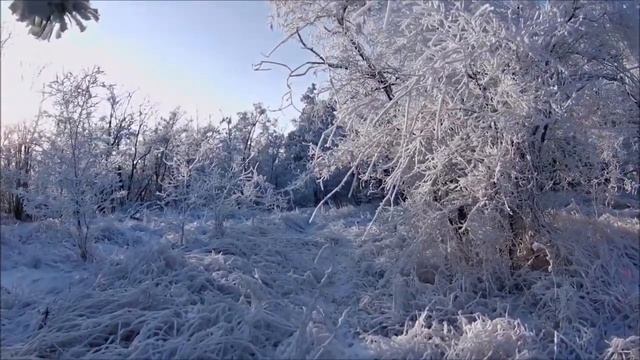 Евгений Евтушенко - Идут белые снеги