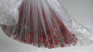 Желе из белой смородины. Из красной смородины желе делается аналогично. Простой рецепт желе на зиму