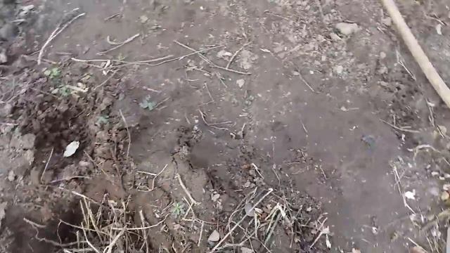 Теплая грядка весной для посадки огурцов,тыкв, кабачков смотреть онлайн