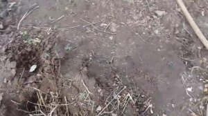 Теплая грядка весной для посадки огурцов,тыкв, кабачков
