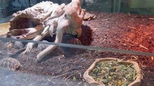 Лучшие места Валенсии за 1 день