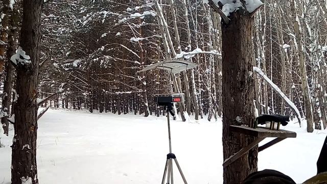 Отстрел пороха в -19.Сушоный Сокол 10/20P. Ирбис 35 2/19К. Сунар 35 смотреть онлайн