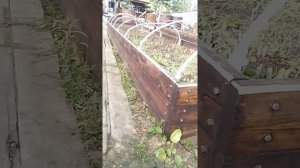 Долговременные грядки на 15-20 лет (чтоб не распирало доски). Проверено временем.