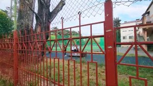 Квартира в Сочи в СТАРОМ фонде? Прогулка по Цветному бульвару??? Недвижимость Сочи