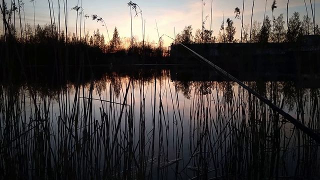 МДА.. ПЕРВЫЙ ВЛОГ С РЫБАЛКИ😱😱 смотреть онлайн