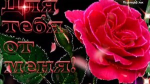 Для тебя, с Любовью!!!???Очень Красивая песня для тебя.