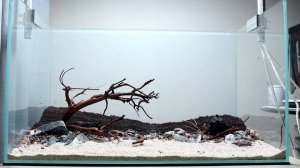 Step by Step Aquascaping Tutorial - Nature Aquarium