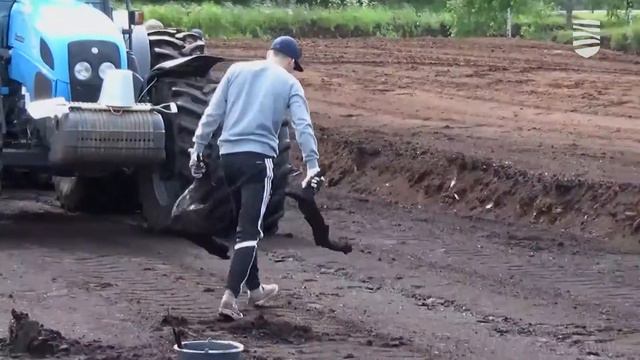 Дружина поможет молодежи заработать карманные деньги смотреть онлайн