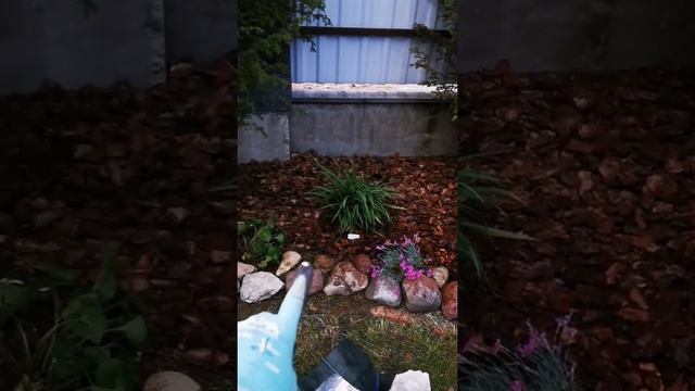 часть 2 / укрывной материал и мульчирование корой / укладка камней