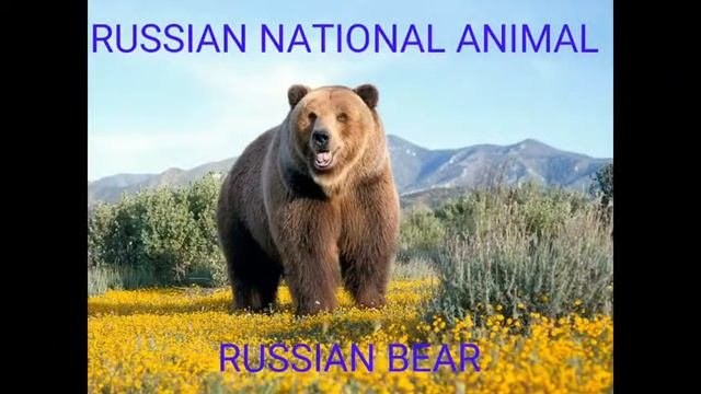 NATIONAL SYMBOLS OF RUSSIA