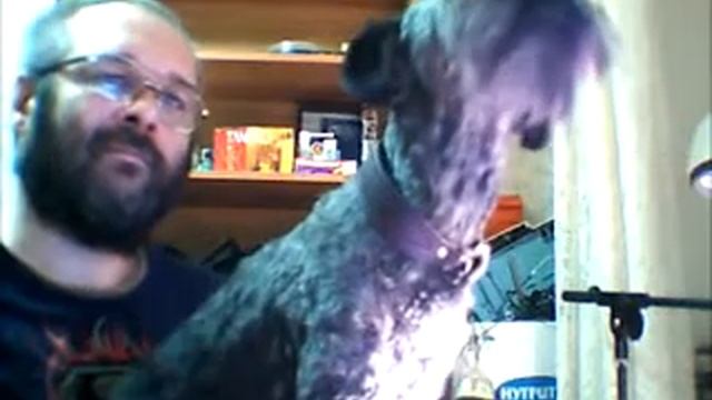 Слушаем МУЗЫКУ СВЕТА смотреть онлайн