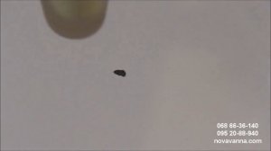 Устранение Скола на Ванной.Как Сделать