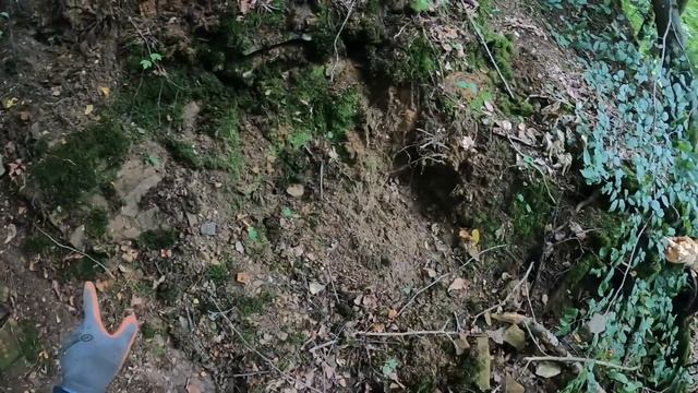 Define Ararken üç Harfliler bastı !!! смотреть онлайн