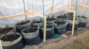 "АКАДЕМИЯ САДОВОДА-МЕШОЧНИКА". Встреча 3 : ПРОСТЫЕ МЕШКИ И ЯЩИКИ.