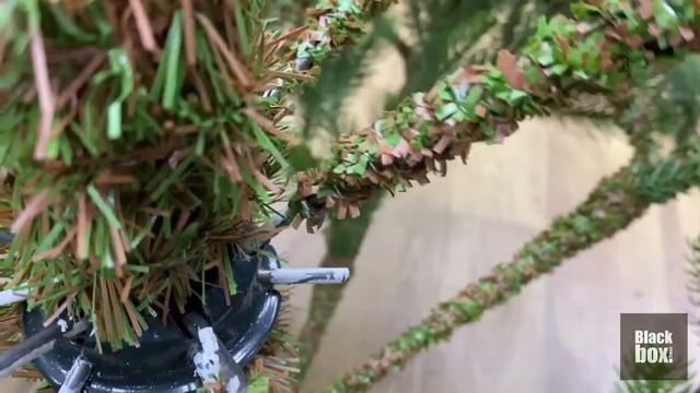 Искусственная елка Коттеджная от 185-230 см, ЛИТАЯ 100%, Black Box смотреть онлайн