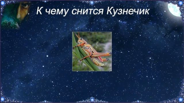 К чему снится Кузнечик (Сонник) смотреть онлайн