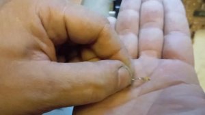 Разбор герконовых реле РЭС55А