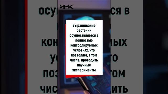 Современные теплицы, гидропоника, городское фермерство, новые технологии в России, наука в России