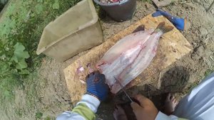 Разделка щуки для засолки