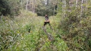 БРП Аутлендер 570 против Ямаха Гризли 700