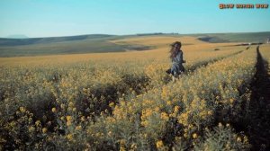 замедленная съёмка как девушка бежит по полю- (videos slow motion)