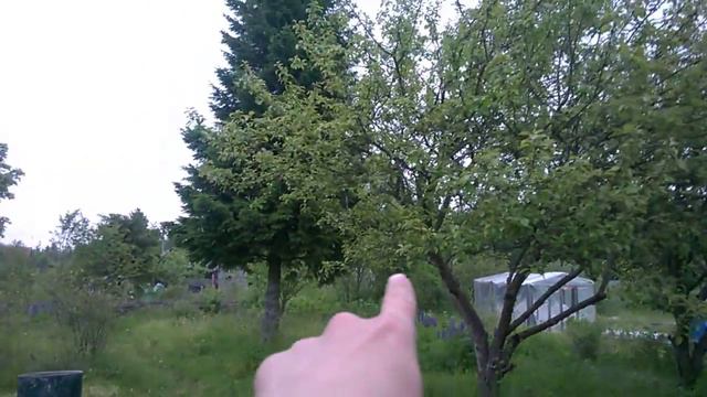 Дача в Пупышево, июнь 2015 смотреть онлайн