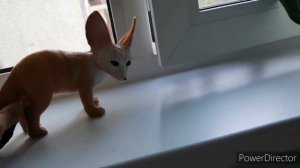 Покупки, впервые шью бюстгальтер