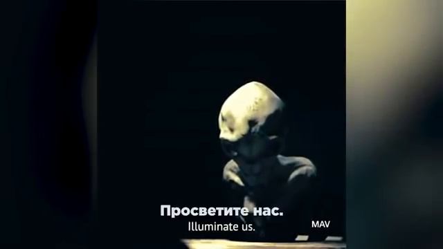 Допрос пришельца