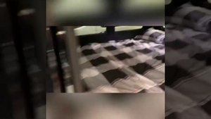 Honda Stepwagon 2.0 IVTEC Auto Spada Day-Van, Camper, 6ft2x4ft double-bed, Cool-box, Awning,