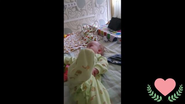 Крокодил и кабачок смотреть онлайн