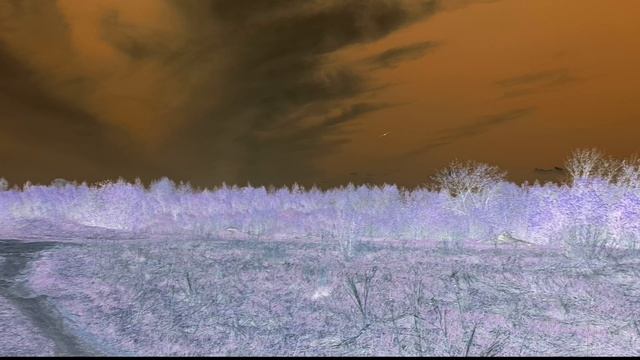 A parallel world.