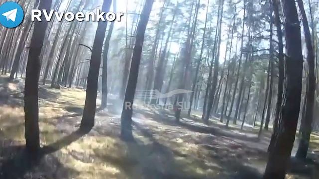 ??Боевые кадры: Спецназ "?️тважных" оказывает первую помощь раненому прямо посреди боя.