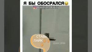 пранк со змеями  ????