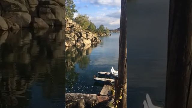 В ВКО дачники сняли на видео, как в Голубой залив стекают фекальные стоки