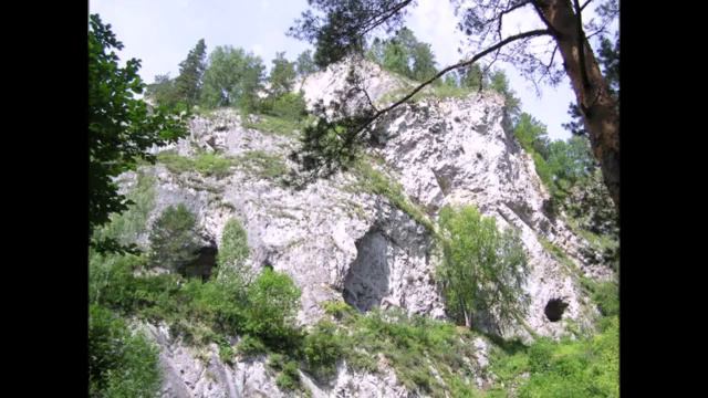 Природа Алтая 4 смотреть онлайн