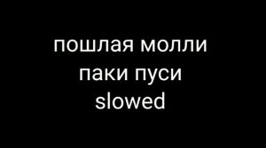 пошлая молли паки пуси slowed/какие песни замедлить еще /следующие видео прошлая молли lin asty