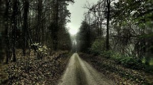 Страшные истории на ночь| Белая свинья| Страшные истории